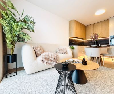 Sale One bedroom apartment, One bedroom apartment, Bernolákovská, Sene