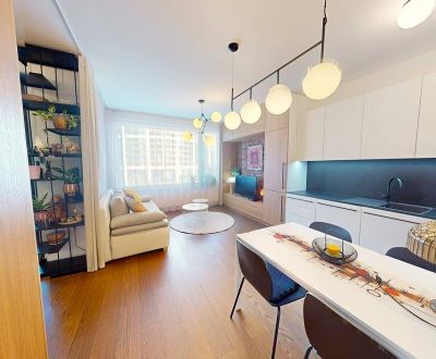 Sale One bedroom apartment, One bedroom apartment, Továrenská, Bratisl