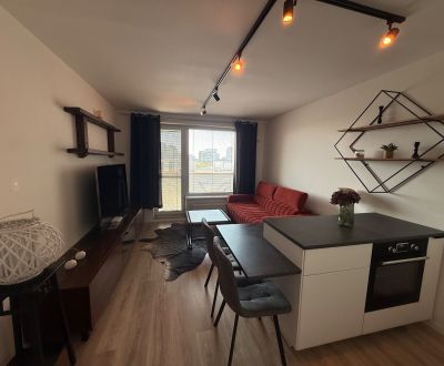 Rent Single studio, Single studio, Košická, Bratislava - Ružinov, Slov