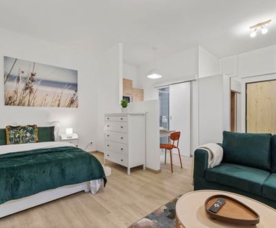 Rent Single studio, Single studio, Lermontova, Bratislava - Staré Mest