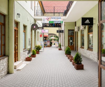 Rent Commercial premises, Commercial premises, Topoľčany, Slovakia