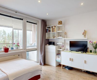 Fully renovated 1-bedroom apartment, prime location, Nám. Hraničiarov