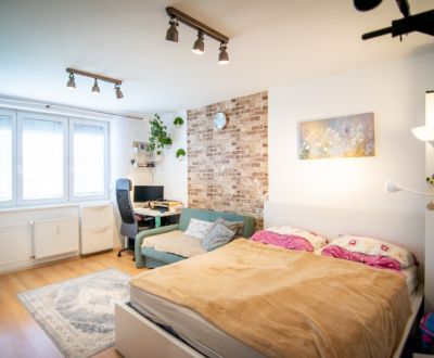 Sale One bedroom apartment, One bedroom apartment, Za hradbami, Pezino