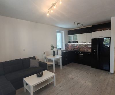 Rent One bedroom apartment, One bedroom apartment, Potravinárska, Nitr