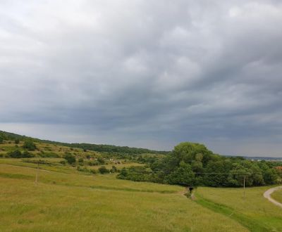 Sale Agrarian and forest land, Agrarian and forest land, Pezinok, Slov