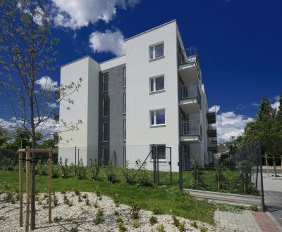 Searching for Single studio, Single studio, Senec, Slovakia