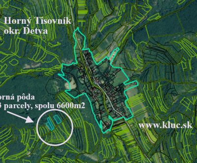 Sale Agrarian and forest land, Agrarian and forest land, Detva, Slovak