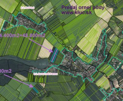 Sale Agrarian and forest land, Agrarian and forest land, Trnava, Slova