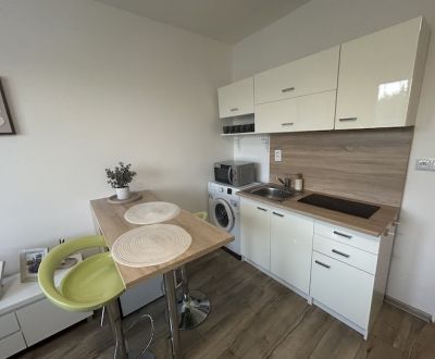 Rent Single studio, Single studio, Mládežnícka, Banská Bystrica, Slova
