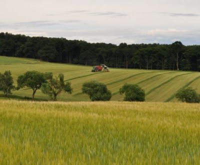 Searching for Agrarian and forest land, Agrarian and forest land, Myja