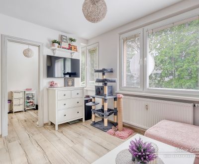 Sale Studio, Studio, Čajkovského, Trnava, Slovakia