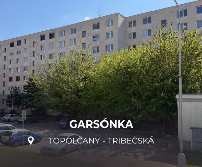 Sale Single studio, Single studio, Tribečská, Topoľčany, Slovakia