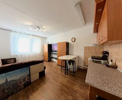 Rent Single studio, Single studio, Novomeského, Nitra, Slovakia