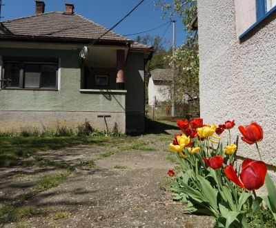 Sale Family house, Family house, Myjava, Slovakia