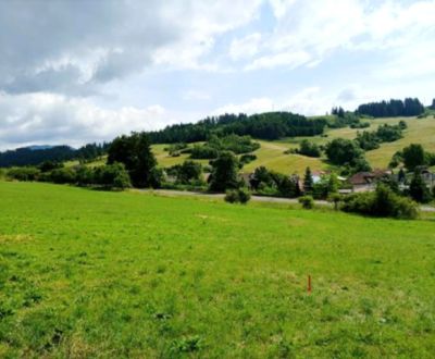 Sale Land plots - commercial, Land plots - commercial, Ružomberok, Slo