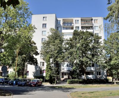 Sale Two bedroom apartment, Two bedroom apartment, Jána Švermu, Michal