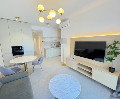 Rent One bedroom apartment, One bedroom apartment, Kollárovo námestie,