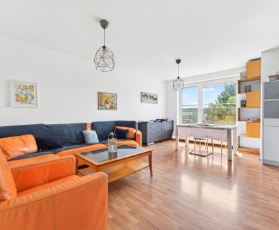 Sale Two bedroom apartment, Two bedroom apartment, Moyzesova, Pezinok,