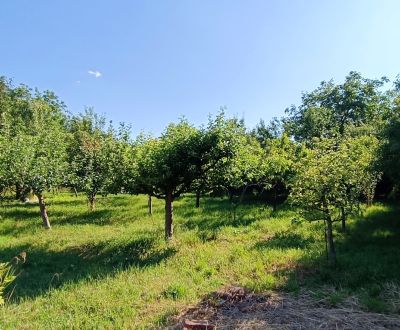 Sale Land – for living, Land – for living, Nitra, Slovakia
