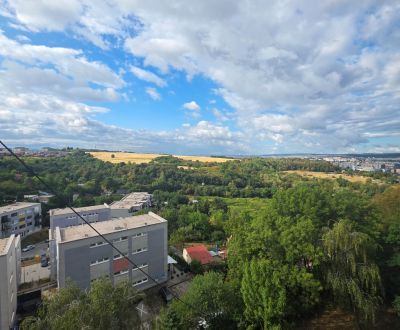 Sale Two bedroom apartment, Two bedroom apartment, Dvorkinova, Košice 