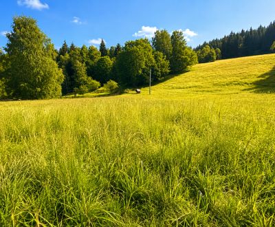 Sale Land – for living, Land – for living, Kopanice, Čadca, Slovakia