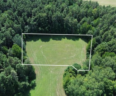 Sale Agrarian and forest land, Agrarian and forest land, Medzihorie, I