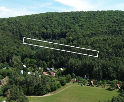 Sale Agrarian and forest land, Agrarian and forest land, Medzihorie, I
