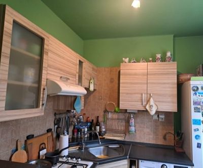 Sale One bedroom apartment, One bedroom apartment, Závalie, Hlohovec, 