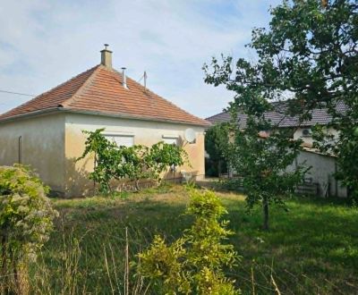 Sale Family house, Family house, Dvorčanská, Nitra, Slovakia