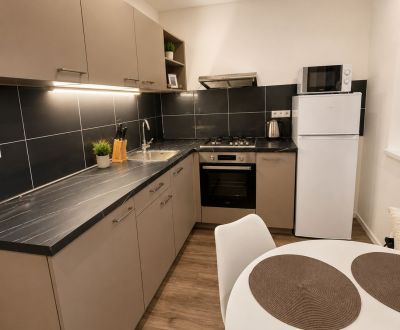 Rent One bedroom apartment, One bedroom apartment, Námestie Ľudovita F