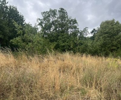 Sale Land – for living, Land – for living, Lovinského, Bratislava - St