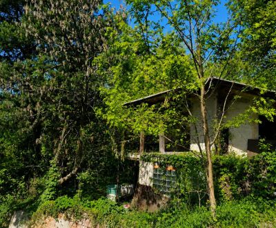 Sale Gardens, Gardens, Šípková, Košice - Krásna, Slovakia