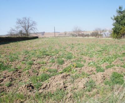 Sale Land – for living, Land – for living, Topoľčany, Slovakia