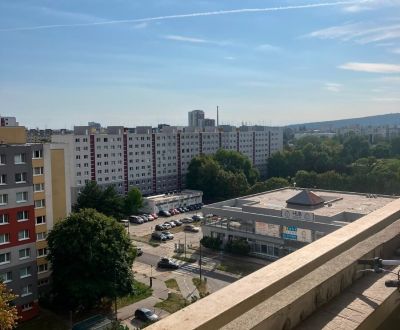 Sale One bedroom apartment, One bedroom apartment, Mánesovo nám., Brat