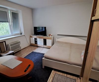 Sale Studio, Studio, Ž. Silbigera , Ružomberok, Slovakia