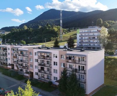 Sale Two bedroom apartment, Two bedroom apartment, Papiernícka , Ružom