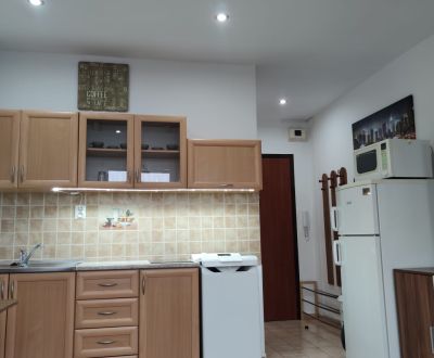 Rent Single studio, Single studio, Hollého, Hlohovec, Slovakia