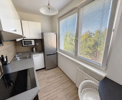 Rent One bedroom apartment, One bedroom apartment, Pod hájkom, Skalica