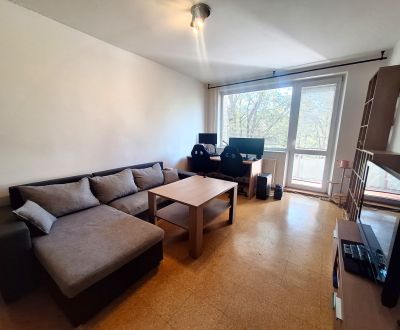 Rent One bedroom apartment, One bedroom apartment, Vladimíra Clementis