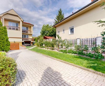 Spacious family house with garage and full basement, Lediny