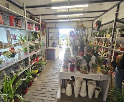 Sale Commercial premises, Commercial premises, Trnavská cesta, Senec, 