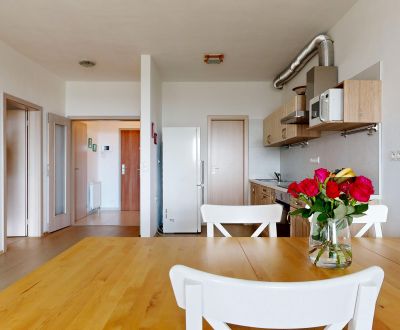 RIVERS Spacious sunny 1 bedroom apartment with parking Karlova Ves