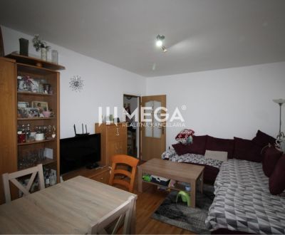 Sale One bedroom apartment, One bedroom apartment, Palárikova, Snina, 