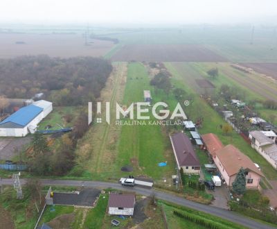 Sale Agrarian and forest land, Agrarian and forest land, Pusté Čemerné