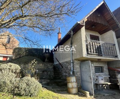 Sale Family house, Family house, Viničky, Trebišov, Slovakia