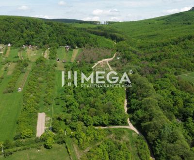 Sale Gardens, Gardens, Michalovce, Slovakia