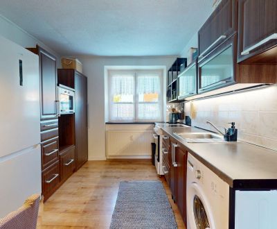 Rent One bedroom apartment, One bedroom apartment, Kpt. Nálepku, Skali