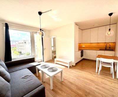 Sale One bedroom apartment, One bedroom apartment, Zdenky Schelingovej