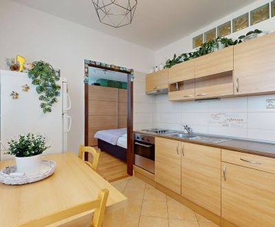 Sale Studio, Studio, SNP, Skalica, Slovakia