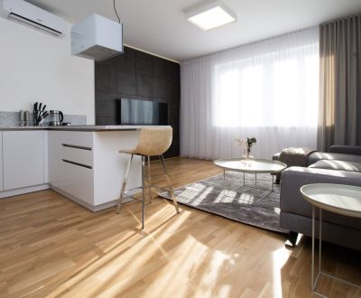 EXCLUSIVLY Luxurious apartment for rent in Bratislava
